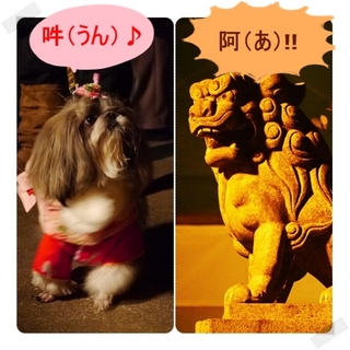 あうん.jpg